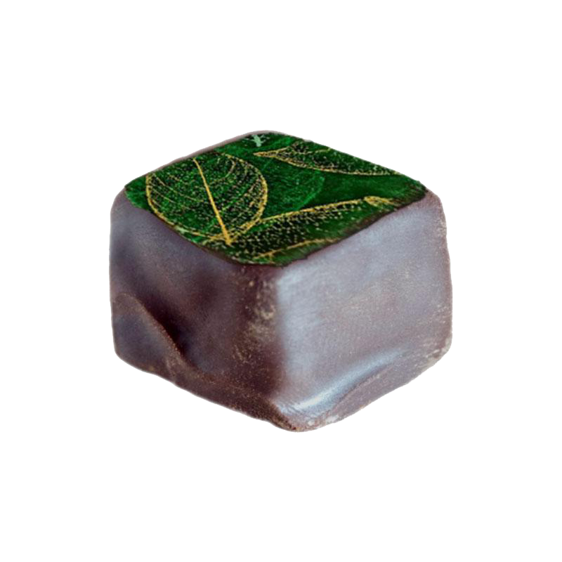 ganache noire lérina verte