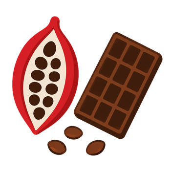 Une immersion dans l'univers du chocolat
